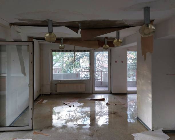 Signs of Hidden Water Damage in Your Palm Bay Home: What to Look For