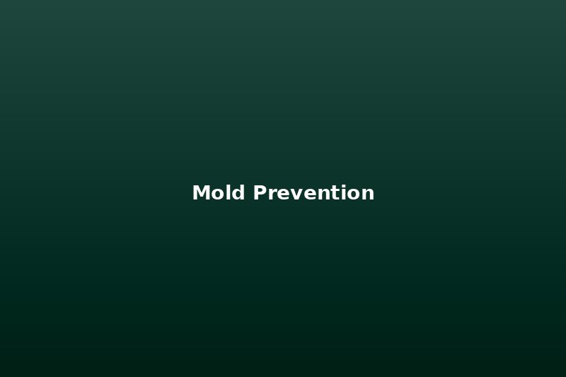 Mold Prevention in Florida Homes: Why Speed Matters After Water Damage