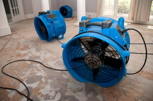 How Long Does Water Damage Restoration Take? Timelines for Every Situation