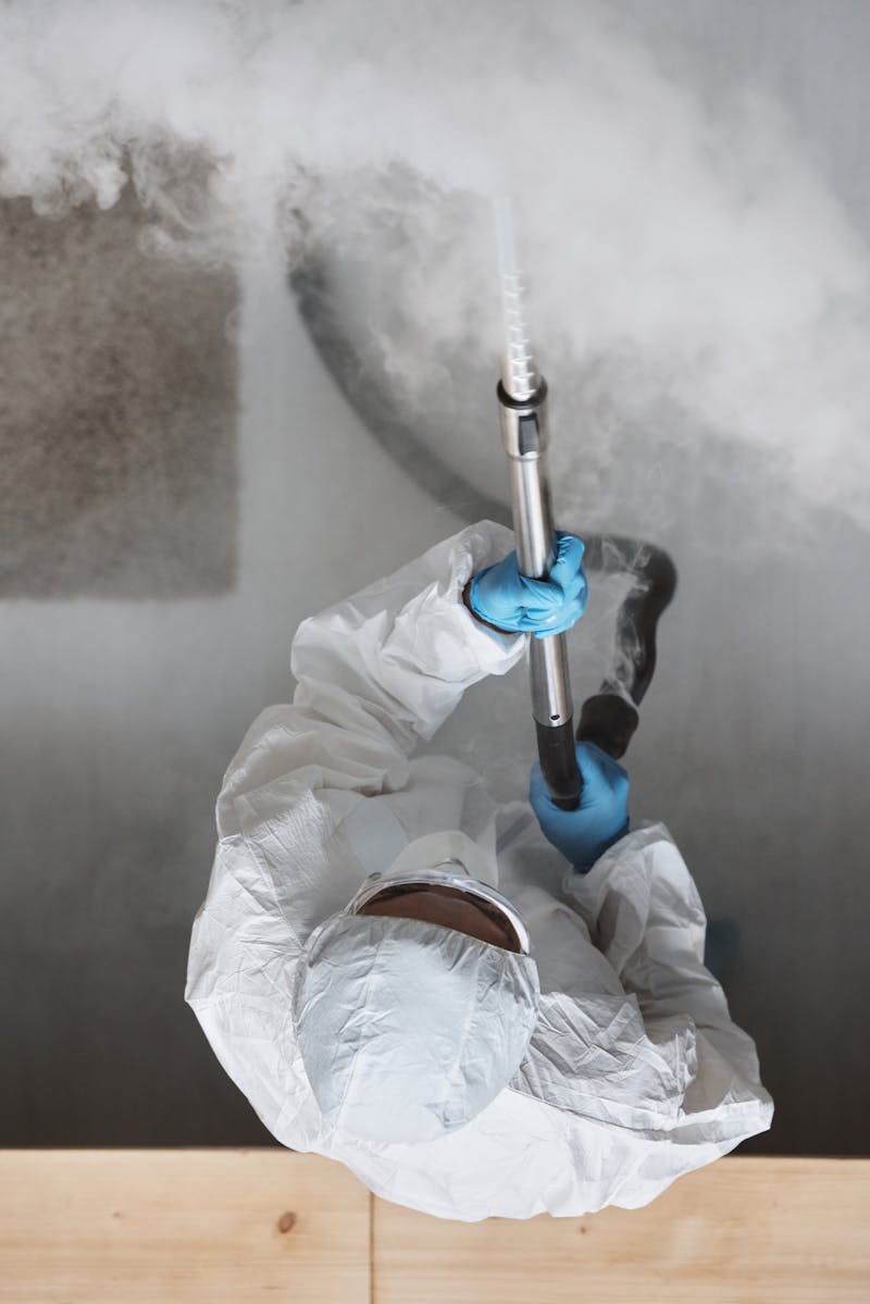 Mold Remediation